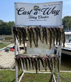 Lake Erie's Walleye Fishing Bliss